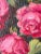 Contemporary oil on board floral art painting- roses in a vase.