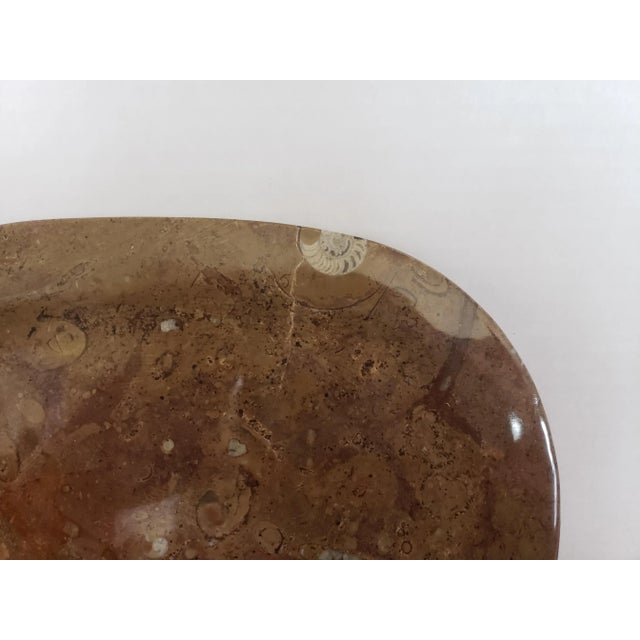 Early 21st Century Oval Fossil Plate Dish For Sale - Image 5 of 7