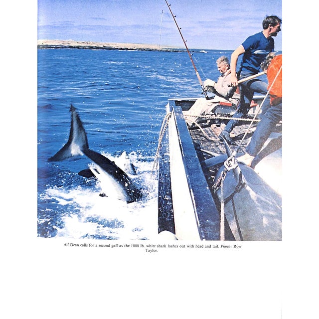 Paper "Big Fish and Blue Water: Gamefishing in the Pacific" 1970 Goadby, Peter For Sale - Image 7 of 9