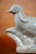 Louis Fontinelle, Beige Glazed Crackled Earthenware Pheasant No. 181, 1920s, Earthenware For Sale - Image 4 of 11