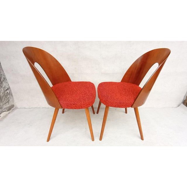 Wood Mid-Century Dining Chairs by Antonin Suman, 1960s, Set of 2 For Sale - Image 7 of 13