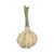 A mid-century Italian ceramic sculpture in a stylized garlic form, featuring a softly modeled bulb and elongated green...