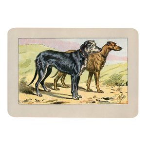 Deerhound Dog Print, 1907, Antique Dog Print, Lithograph, France