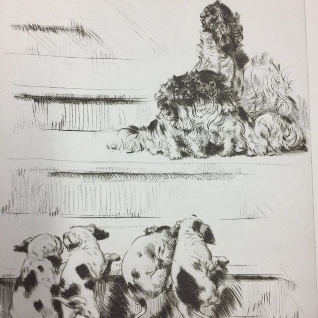 Illustration Puppies on the Stairs Diana Thorne, 1930s For Sale - Image 3 of 3