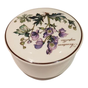 1980s Vintage Villeroy & Boch German Botanical Porcelain Trinket Box With Lid