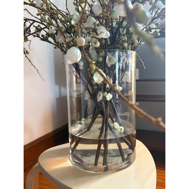 Prized all over the world for their fleeting beauty, pink Japanese cherry blossoms are a beloved symbol of spring. This...