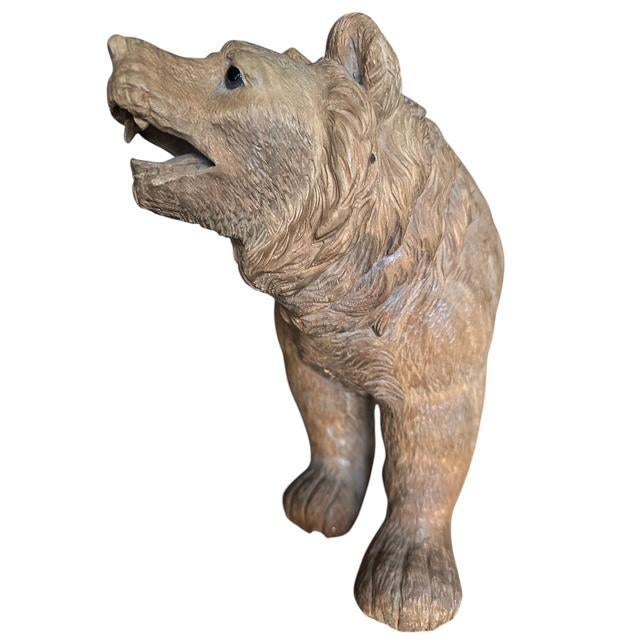 Brown Late 19th Century Brienz Black Forest Bear With Glass Eyes For Sale - Image 8 of 10