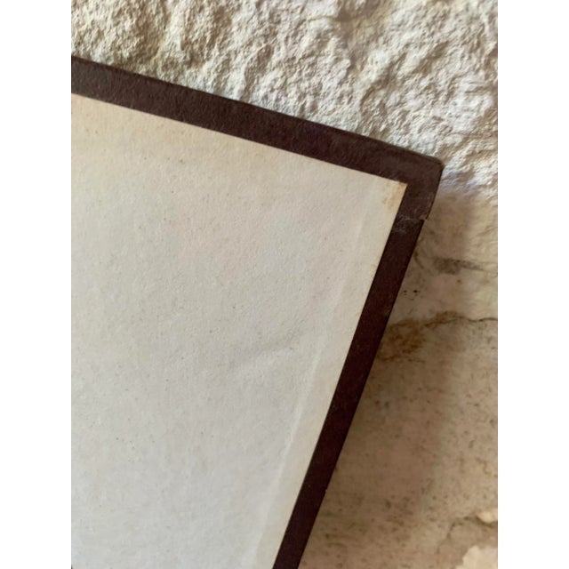 Vintage Botanical Danish Seed Catalog Lithograph Poster No. 6, New Old Stock For Sale - Image 10 of 12