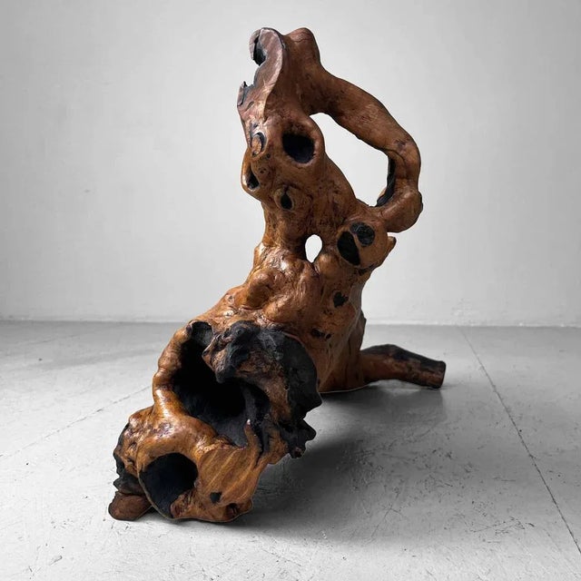 Wood Wood Burl Wood, Japan, 1950s For Sale - Image 7 of 12