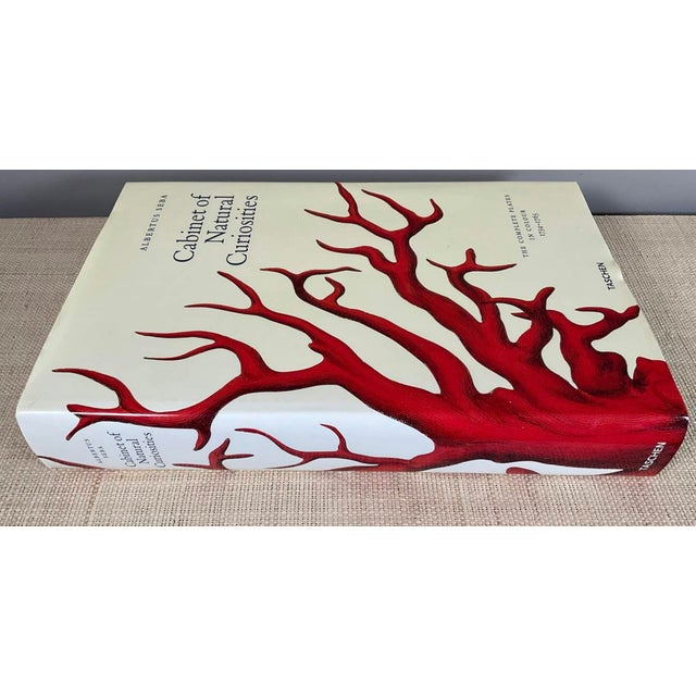 Oversized coffee table book, "Cabinet of Natural Curiosities" by Albertus Seba, Published by Taschen. Dimensions 18”...