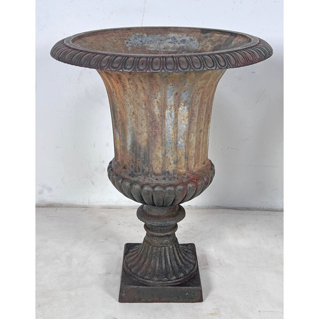 A pair of 19th century cast iron neoclassical urns, with traces of Gustavian blue paint within the exterior of their...