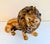 Italian Favaro Cecchetto Life Size, Hand Painted, Mid 20th Century Ceramic Lion Figure For Sale In New York - Image 6 of 10