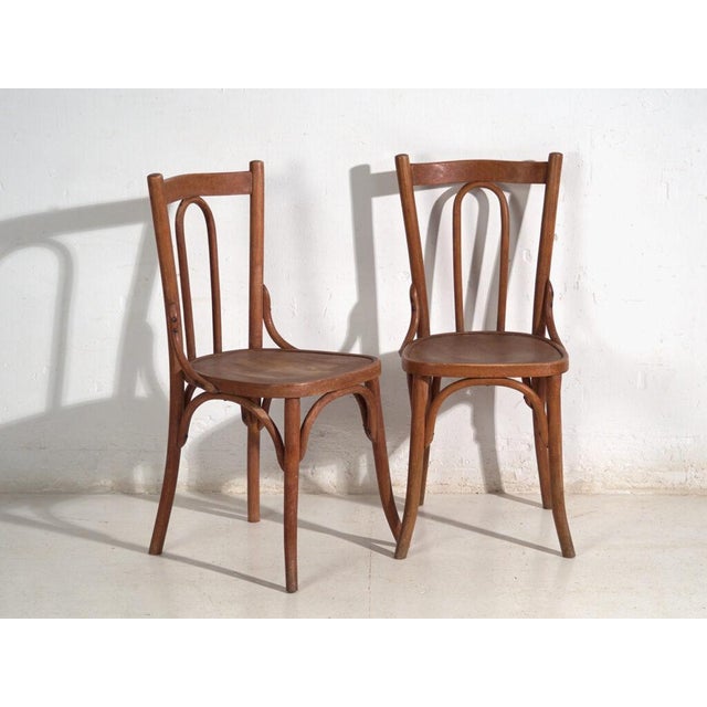 Thonet Antique Bentwood Chairs, Central Europe, 1900s, Set of 6 For Sale - Image 4 of 16