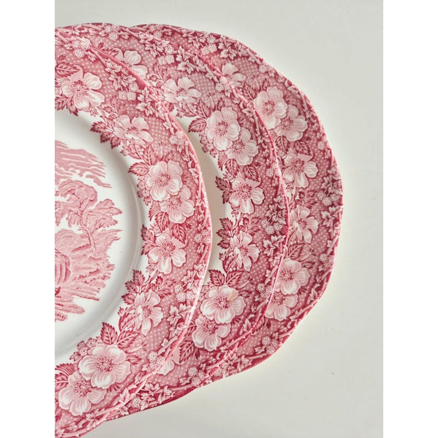 Pink Vintage English Pink Transferware Dinner Plates by Enoch Wedgwood, 1970s, Set of 6 For Sale - Image 8 of 8