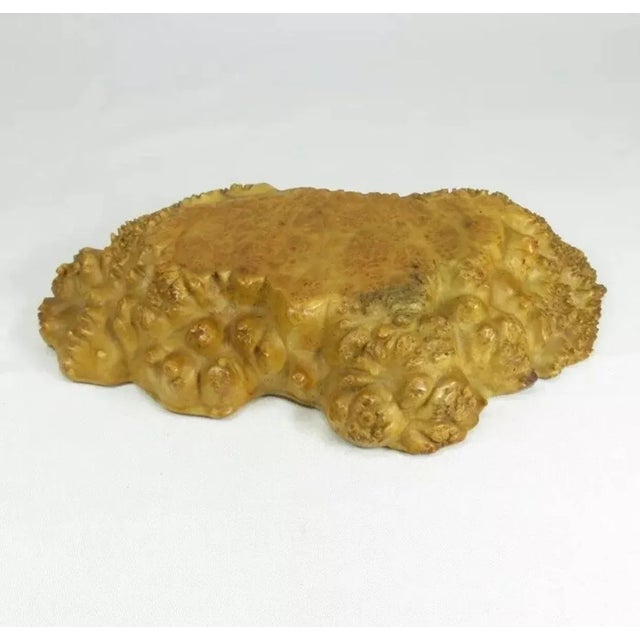 Antique Japanese Meiji Kadai Burl Presentation Board For Sale - Image 10 of 10