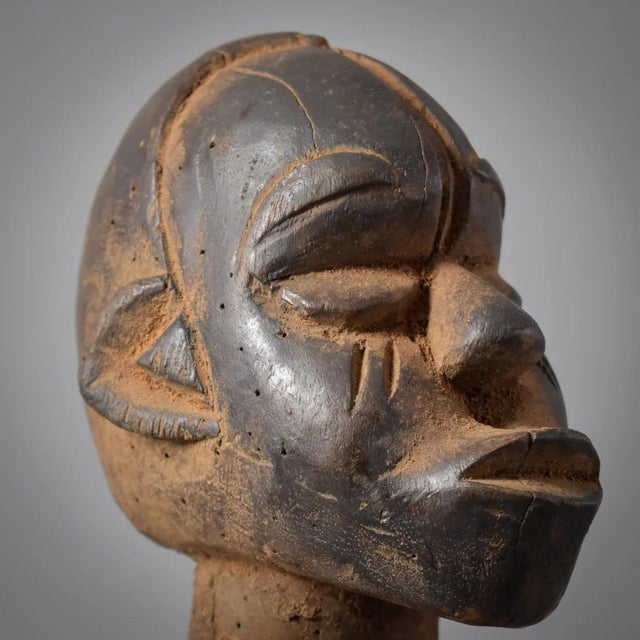 Early 20th Century Ejagham Eket Power Fetish Headdress Nigeria For Sale - Image 9 of 11