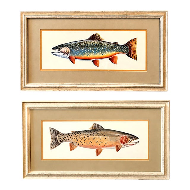 Vintage Framed Trout Fish Prints Cabin Coastal Wall Art - A Pair For Sale