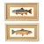 Vintage Framed Trout Fish Prints Cabin Coastal Wall Art - A Pair For Sale