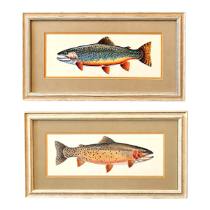 Vintage Framed Trout Fish Prints Cabin Coastal Wall Art - A Pair