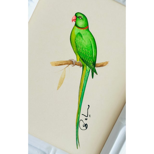 This hand-painted parrot artwork highlights clean color and fine detailing. Painted by our master artists using the finest...