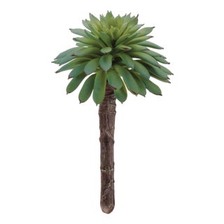 Succulent Plant Pick (Set of 12) For Sale