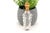 Faceted Glass and Gold Flask, 19th Century For Sale - Image 5 of 6