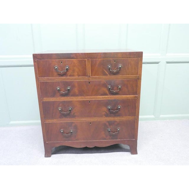 This is a good solid chest of drawers, the five drawer version like this one is becoming a lot more difficult to source...