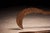 Metal Magali & Fali Ceremonial Throwing Knives, Northern Cameroon & Northeastern Nigeria, 1920s For Sale - Image 7 of 11