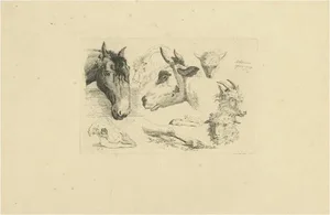 Anthony Oberman, Horse, Cow, Goat and Sheep Heads, 1809, Etching on Paper