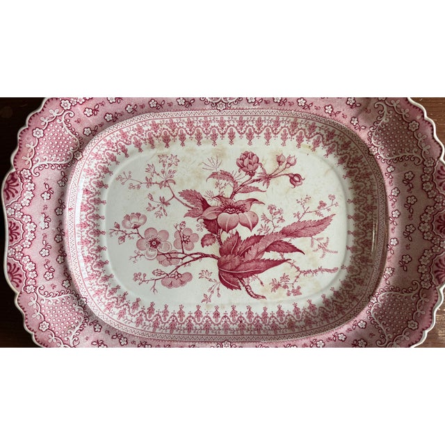 A Very Fine Antique Pink Transferware Decorated Staffordshire Platter "Asiatic Plants" Pattern, Circa 1840's Attributed to...