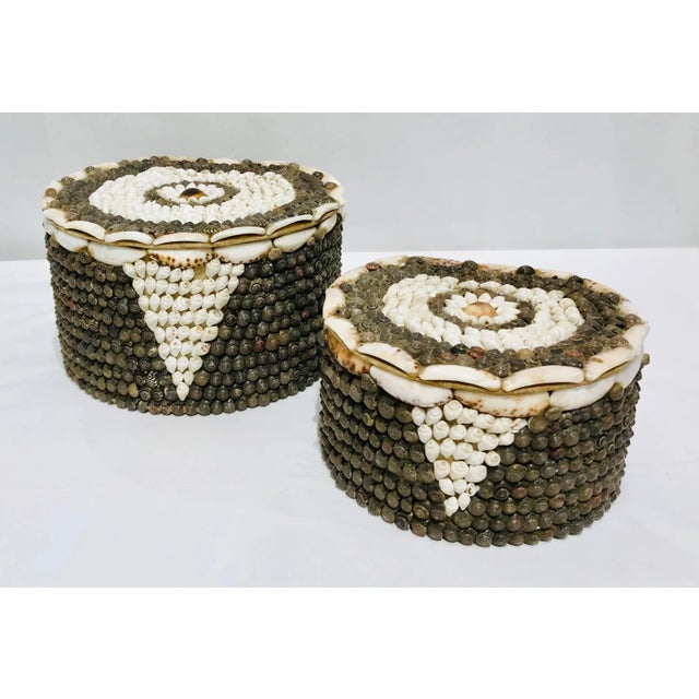 Early 20th Century Antique Handcrafted Cowrie Seashell Nesting Boxes - a Pair For Sale - Image 13 of 13