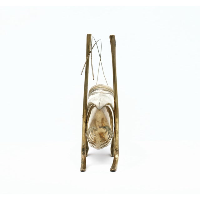 Metal Large Vintage Brass Grasshopper For Sale - Image 7 of 9