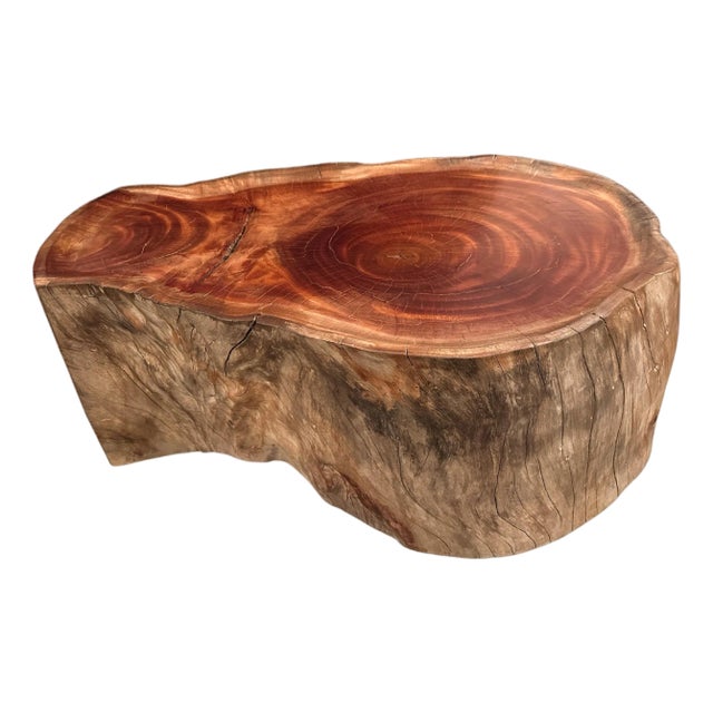 Andrianna Shamaris Mahogany Wood Tray Style Coffee Table For Sale