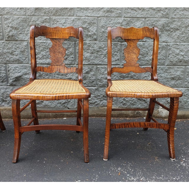 Early 20th Century Early American Tiger Wood and Cane Seat Chairs, Set of 4 For Sale - Image 5 of 12