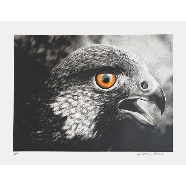 Patrice LARUE EAGLE 1991 screenprint on BFK Rives paper signed and justified in pencil 19.7 x 25.6 in illustration : 15.7...