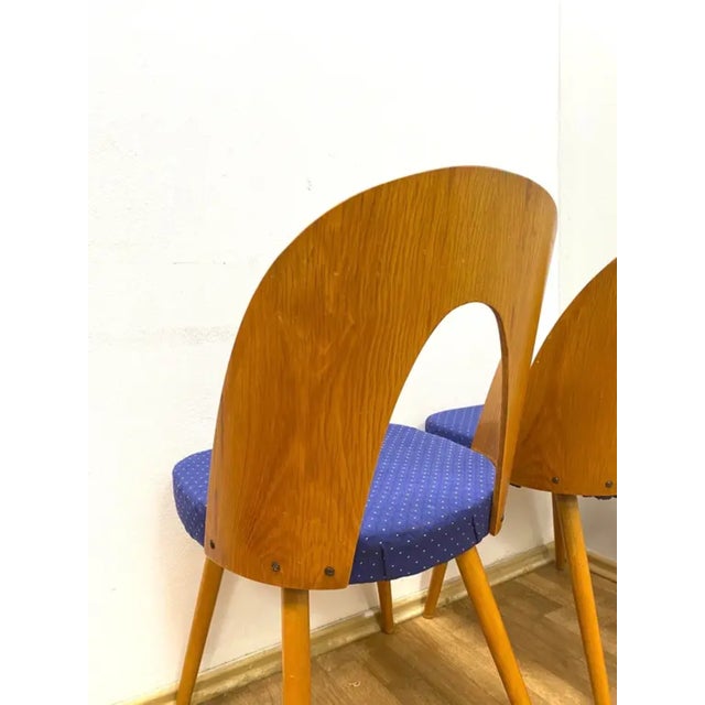 Mid-Century Modern Chairs by Antonín Šuman for Ton, 1960s, Set of 2 For Sale - Image 3 of 10