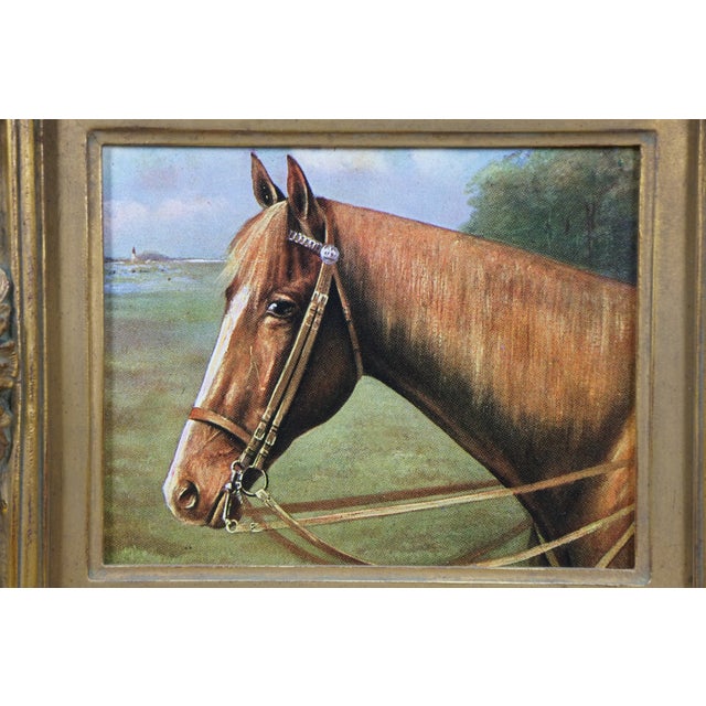Vintage Equestrian Horse Print Portrait Realism Framed Sport Hunting 17" For Sale - Image 9 of 11