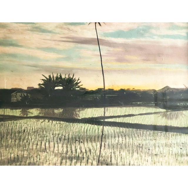 Asian Antique Vintage 1920's Hand Colored Tropical Landscape Photograph of Bali For Sale - Image 3 of 6