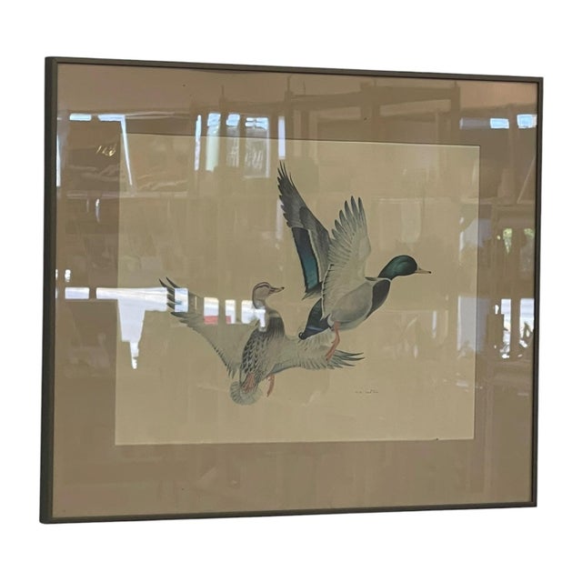 Coastal Vintage Framed Waterfowl Bird Print of Flying Ducks, Wildlife Wall Art For Sale - Image 3 of 10