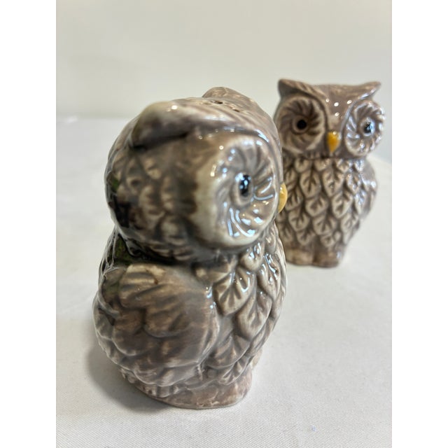 Mid 20th Century Vintage Ceramic Owl Salt and Pepper Shakers — A Pair For Sale - Image 5 of 10