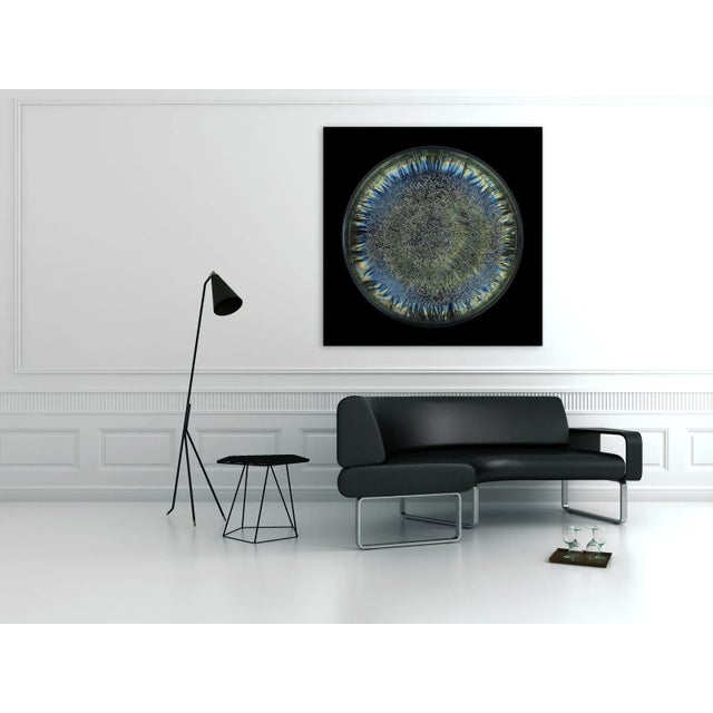 2010s Contemporary Abstract Chromogenic Print Photography "Morphogenetic Field, Ab Negative Blood Type" by Seb Janiak For Sale - Image 5 of 6