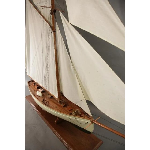 Six Foot Model of Cup Yacht Puritan For Sale - Image 4 of 7