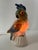 Art Deco Perfume Parrot Lamp, 1920s For Sale - Image 4 of 11