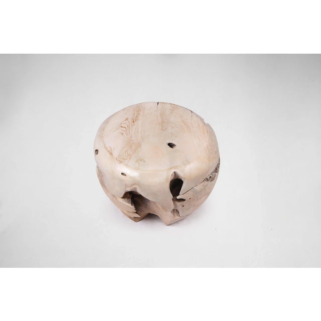 Contemporary Bleached White Teak Root Accent or Side Table or Stool 30 For Sale - Image 3 of 6