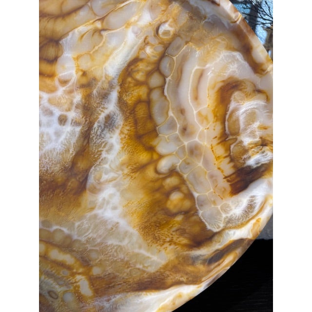 Tortoise Shell Resin Tray For Sale In Jacksonville, FL - Image 6 of 6