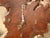 Wood Vintage Live Edge Burl Redwood Wall Clock For Sale - Image 7 of 15