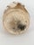 Midcentury Handmade Stoneware Crackle Glaze Vase For Sale - Image 9 of 16