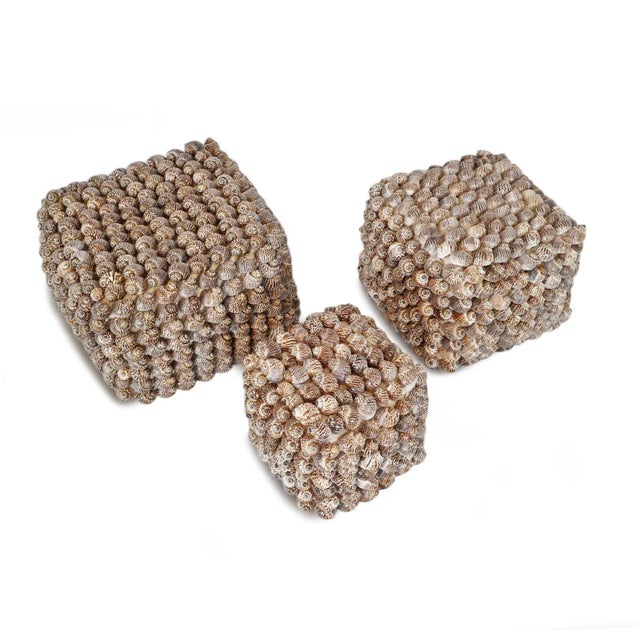 Early 21st Century Vintage Coastal Bali Shell Box Small For Sale - Image 5 of 7