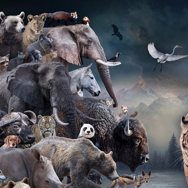 This photographic work presents a striking assembly of wildlife, showcasing a diverse array of animals, including a...