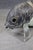 Metal Monumental Brass or Bronze Fish or Koi Statue For Sale - Image 7 of 8